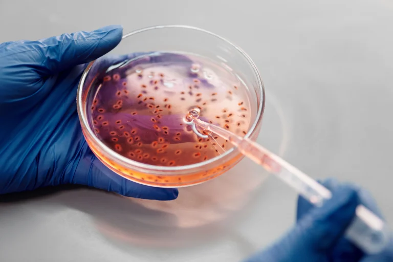 Light Materials, Big Ambitions: FAroGels is Looking for Its 15 Doctoral Candidates